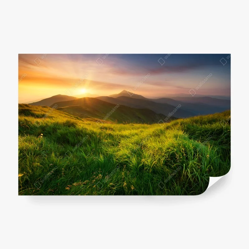 Wohnzimmer – Wallnifity®