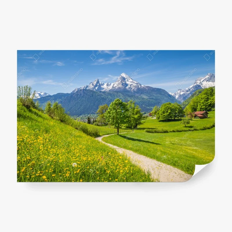 Natur – Wallnifity®