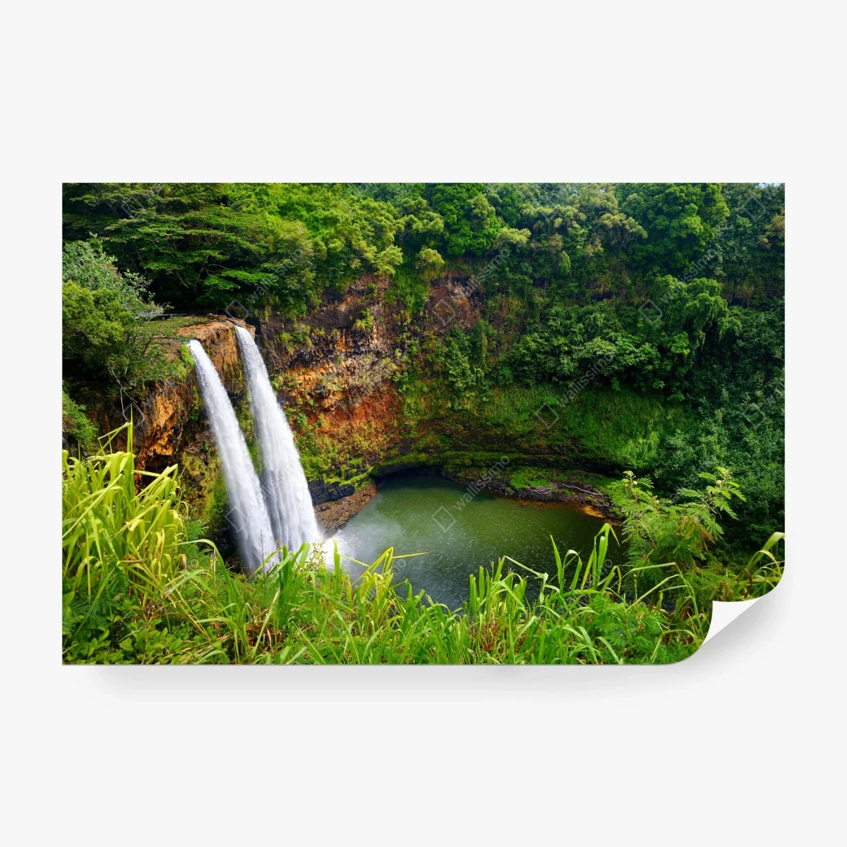 Fototapete doppelter wasserfall im üppig grünen wald – Wallnifity®