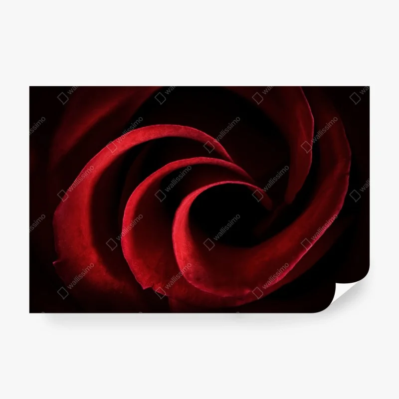 Schlafzimmer – Wallnifity®