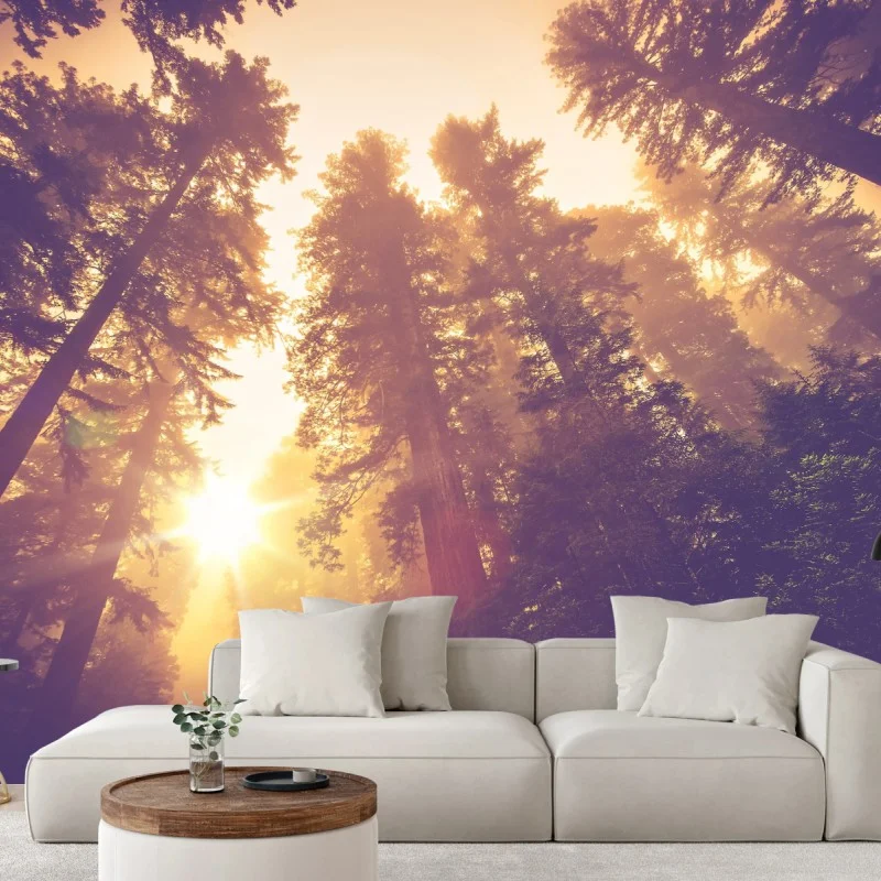 Wälder – Wallnifity®