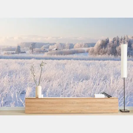 Fototapete wiese mit reif im morgenlicht – Wallnifity®