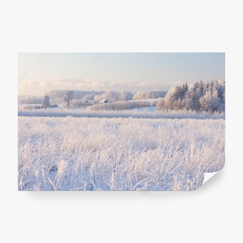 Wohnzimmer – Wallnifity®