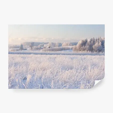 Fototapete wiese mit reif im morgenlicht – Wallnifity®