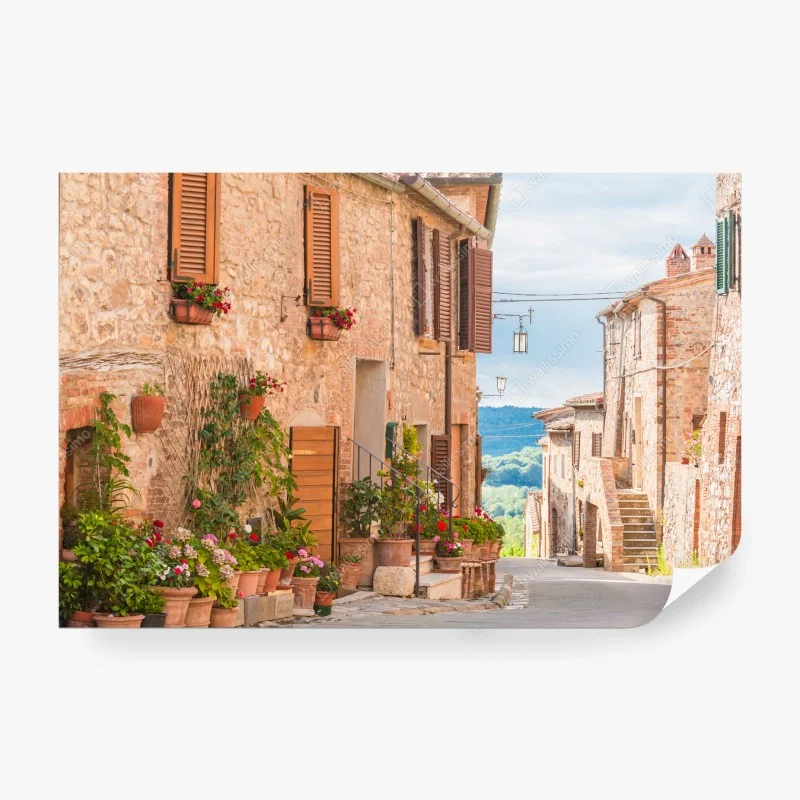 Straßen – Wallnifity®