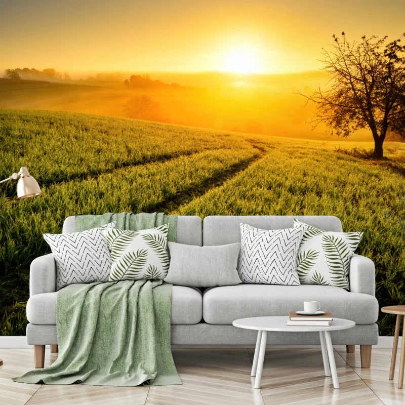 Wiesen – Wallnifity®