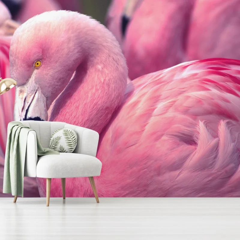 Vögel – Wallnifity®