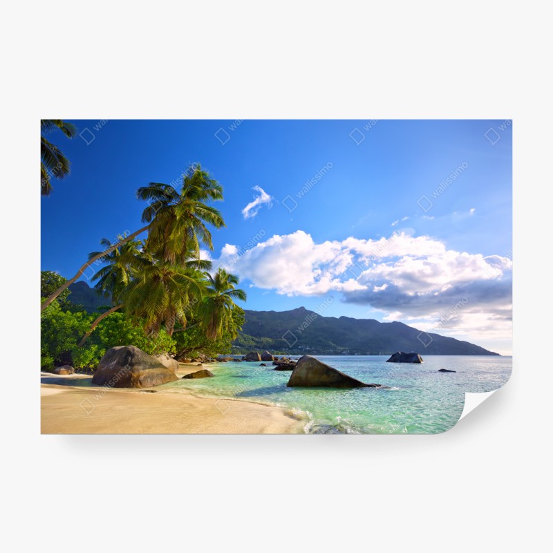 Fototapeten – Wallnifity®