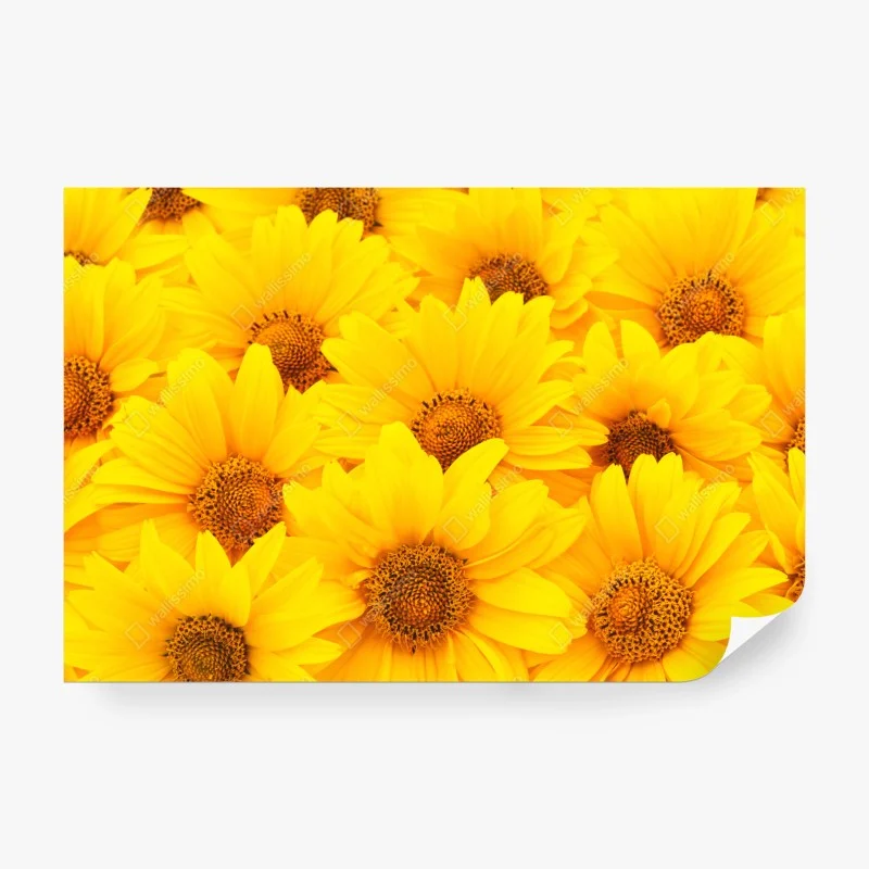 Blumen – Wallnifity®