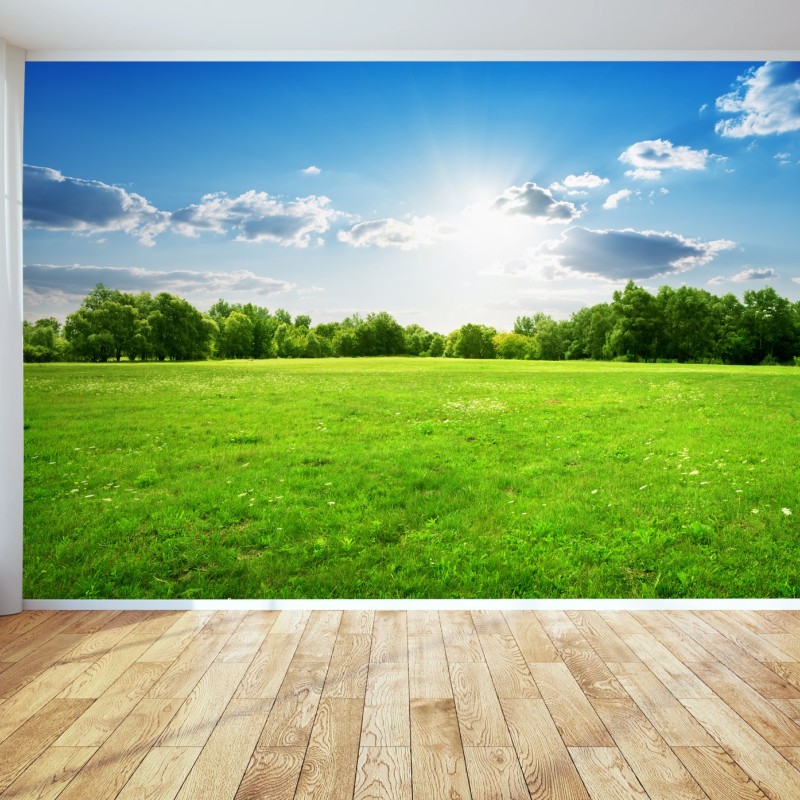 Natur – Wallnifity®