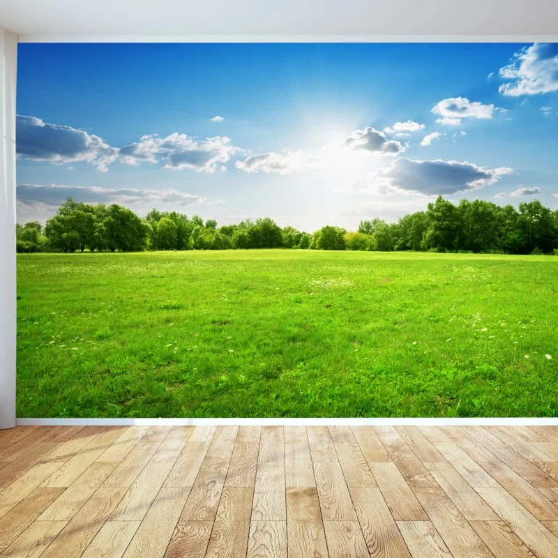 Wiesen – Wallnifity®