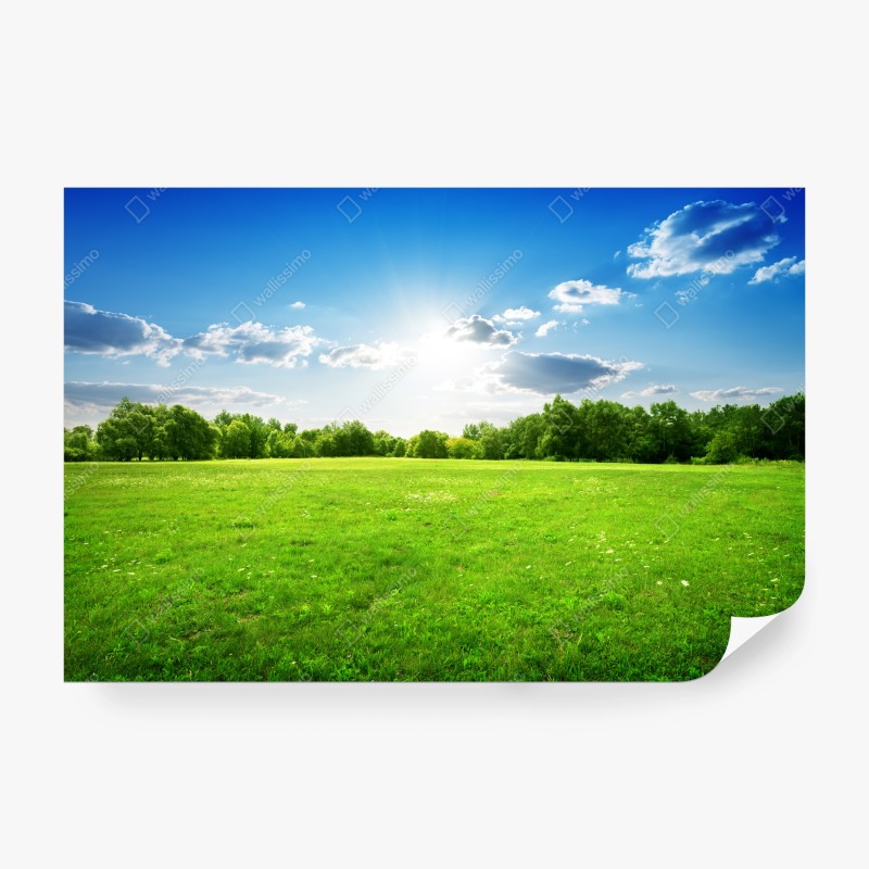 Natur – Wallnifity®