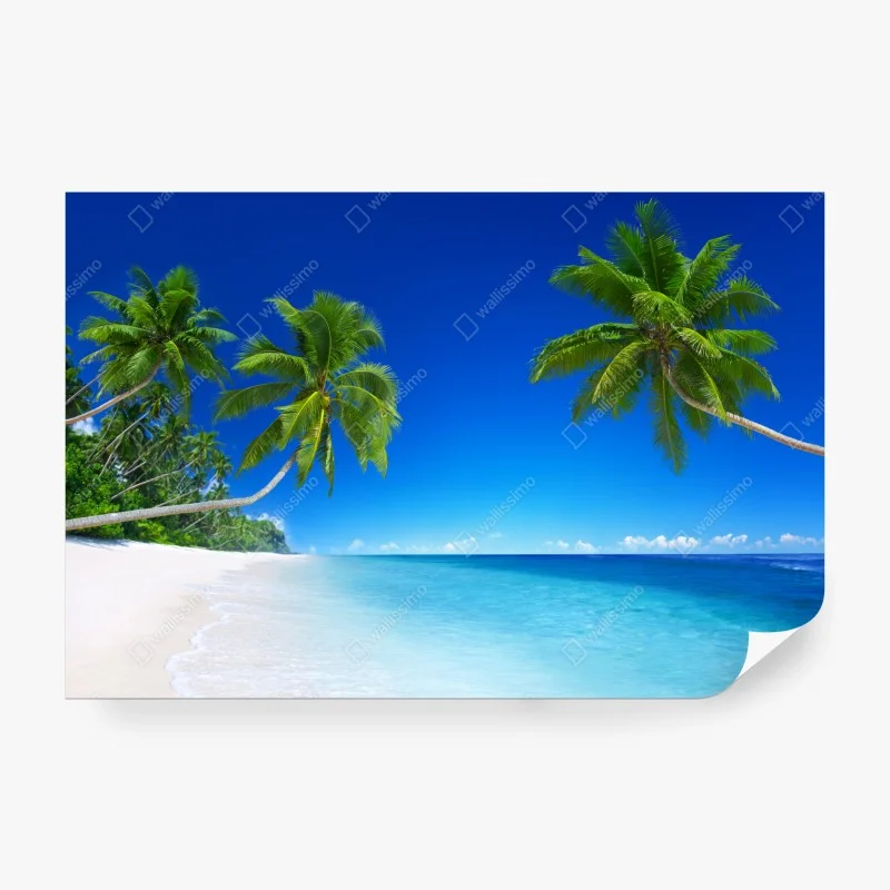 Strand – Wallnifity®
