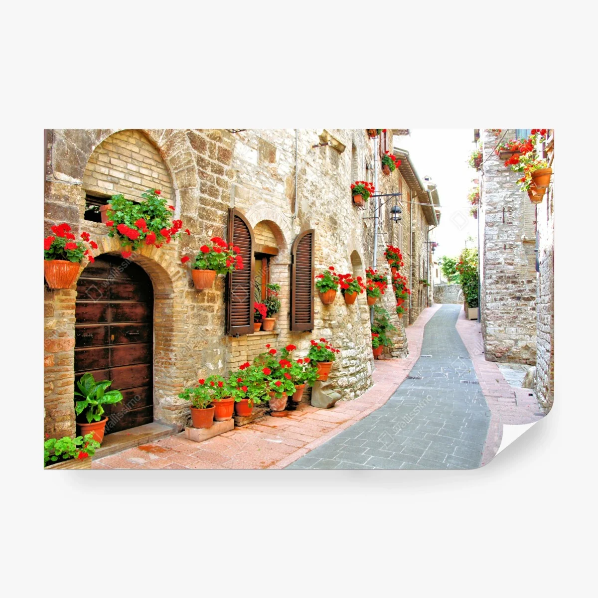 Fototapete sonnige steingasse mit roten geranien – Wallnifity®