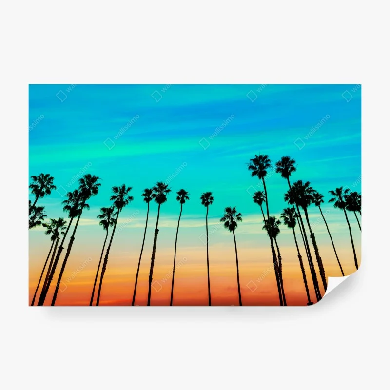 Boho – Wallnifity®