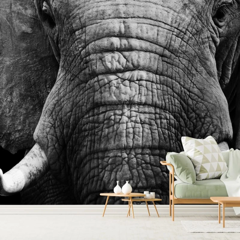 Minimalistisch – Wallnifity®