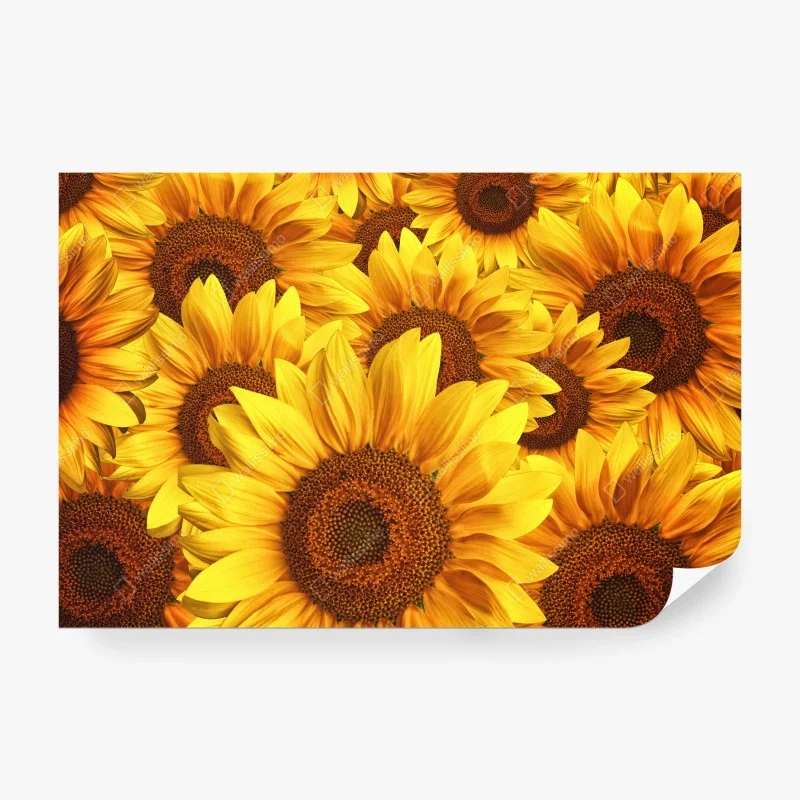 Blumen – Wallnifity®