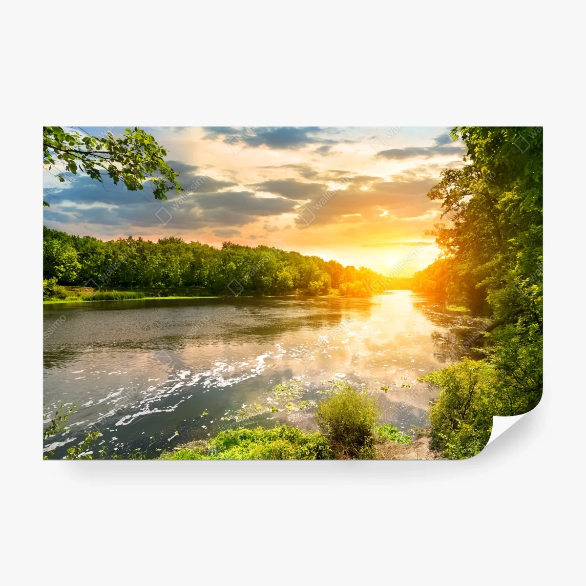 Fototapete ruhiger sonnenuntergang am fluss im grünen wald – Wallnifity®