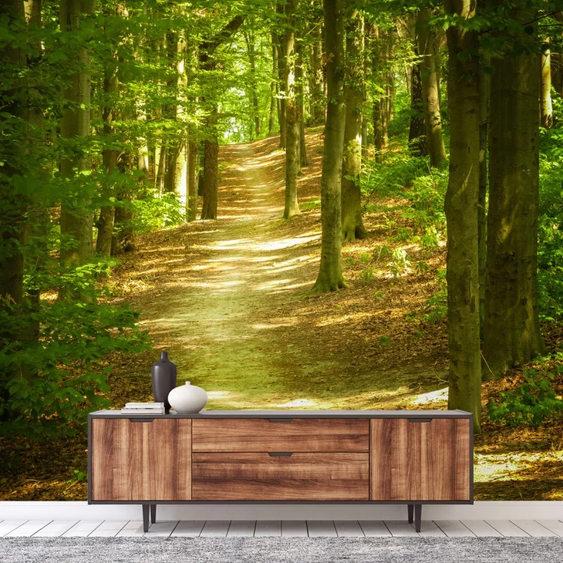 Wälder – Wallnifity®