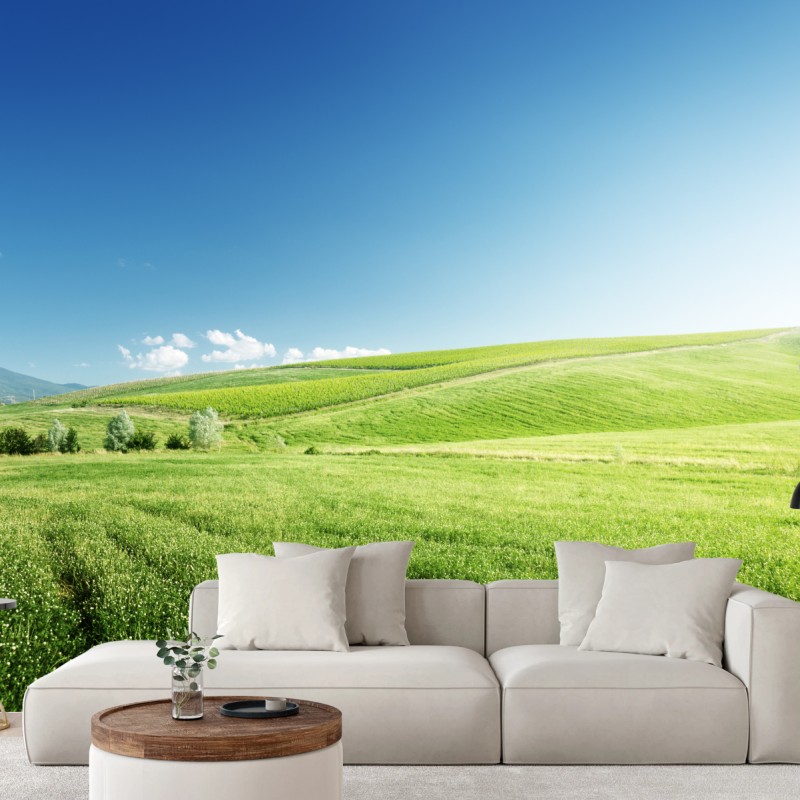 Natur – Wallnifity®