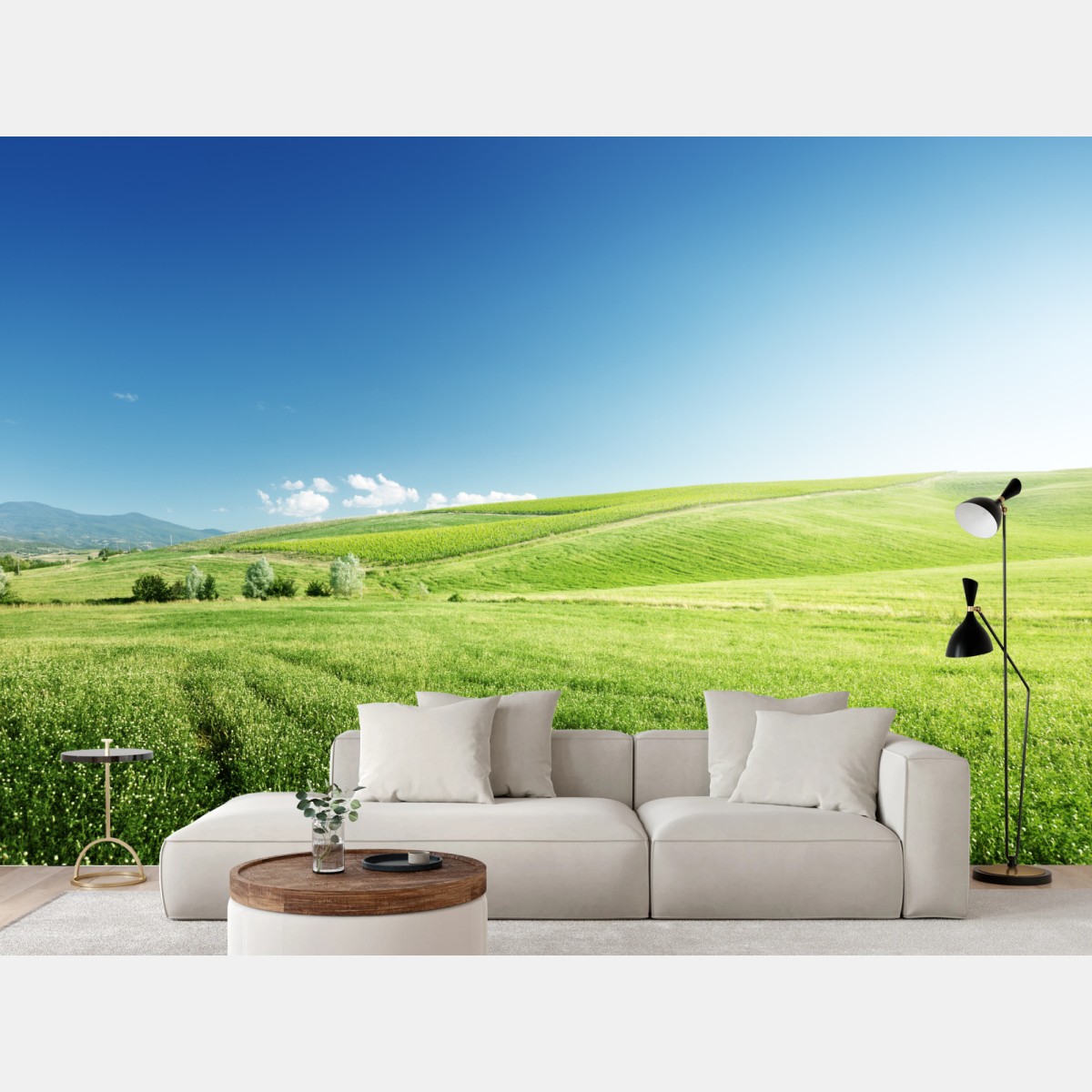 Fototapete ruhige grüne wiesenlandschaft – Wallnifity®