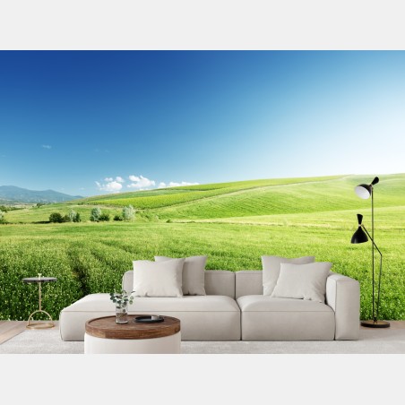 Fototapete ruhige grüne wiesenlandschaft – Wallnifity®