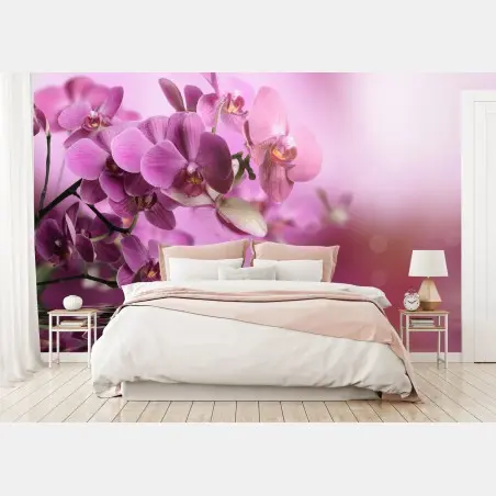 Fototapete rosa orchideen spiegelung – Wallnifity®