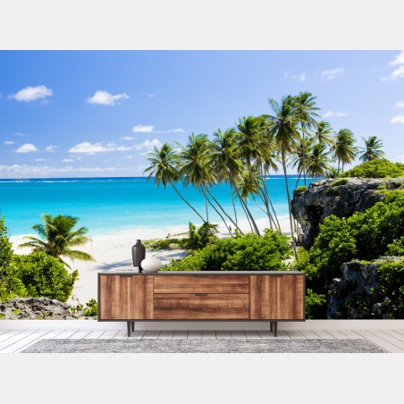 Fototapete Bottom Bay palmenstrand, Barbados – Wallnifity®