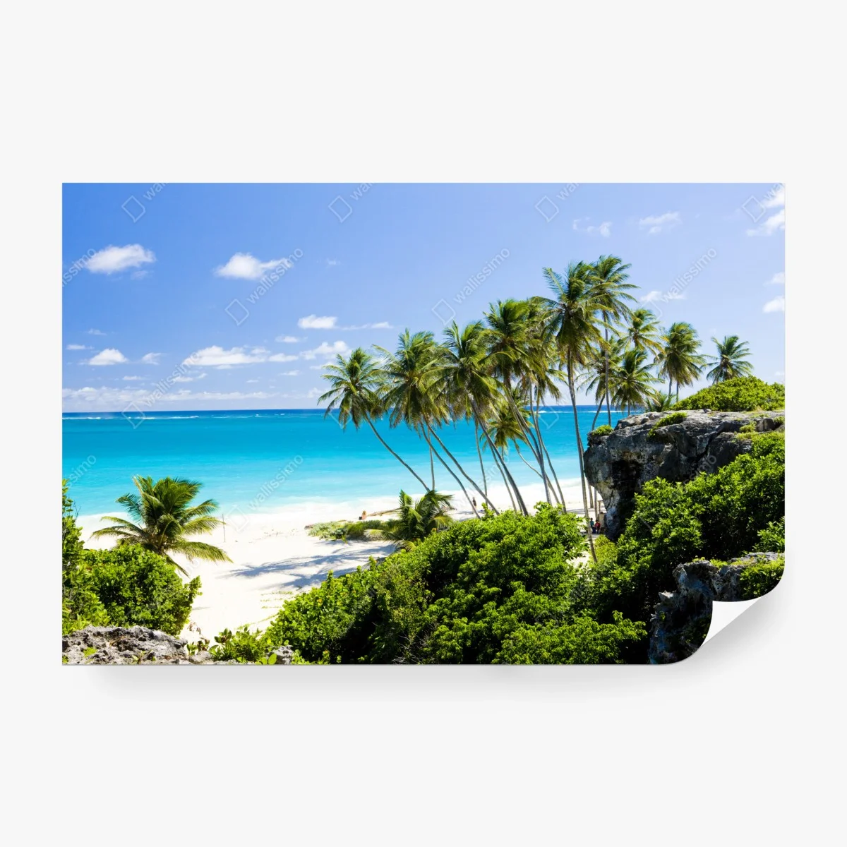 Fototapete Bottom Bay palmenstrand, Barbados – Wallnifity® Fototapete Bottom Bay palmenstrand, Barbados – Wallnifity®