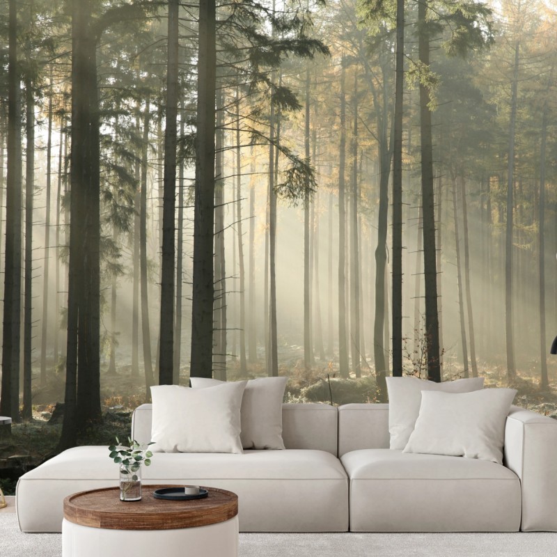 Fototapeten – Wallnifity®