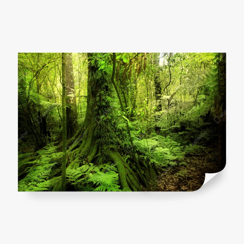 Wohnzimmer – Wallnifity®