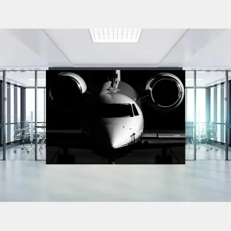 Fototapete monochrome frontalansicht eines privatjets – Wallnifity®