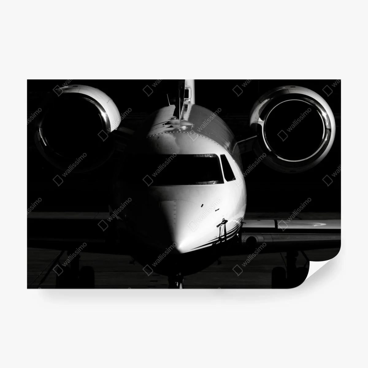 Fototapete monochrome frontalansicht eines privatjets – Wallnifity®
