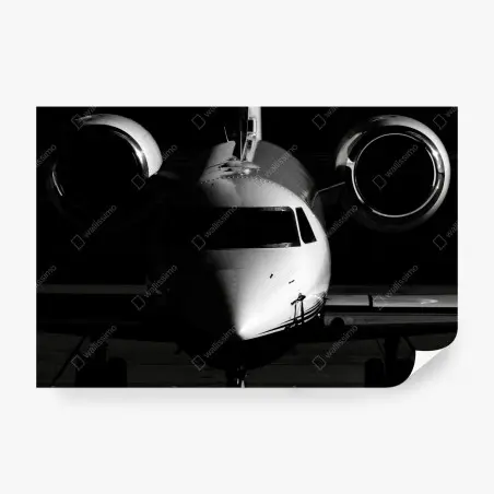 Fototapete monochrome frontalansicht eines privatjets – Wallnifity®