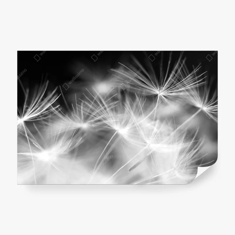 Blumen – Wallnifity®