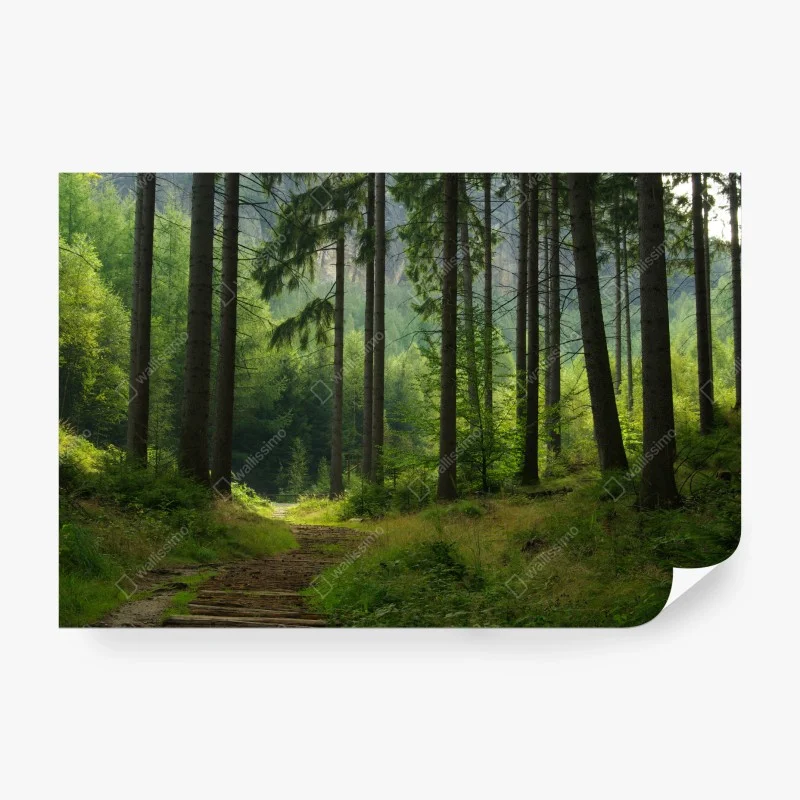 Fototapete – Wallnifity®