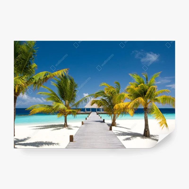 Fototapeten – Wallnifity®
