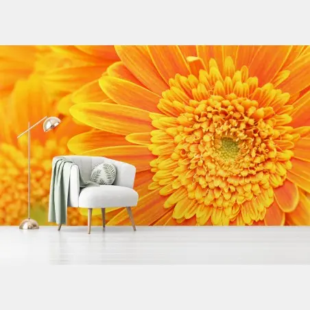 Fototapete leuchtende orange gerbera in makro – Wallnifity®