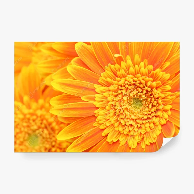 Blumen – Wallnifity®