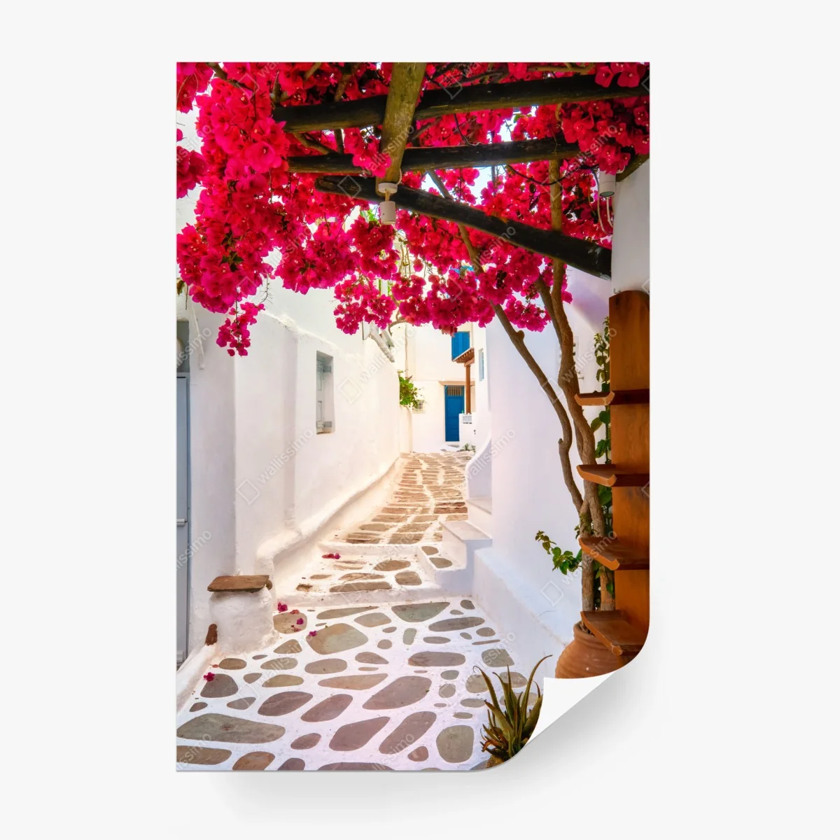 Fototapete sonnige gasse in Griechenland mit bougainvillea – Wallnifity®