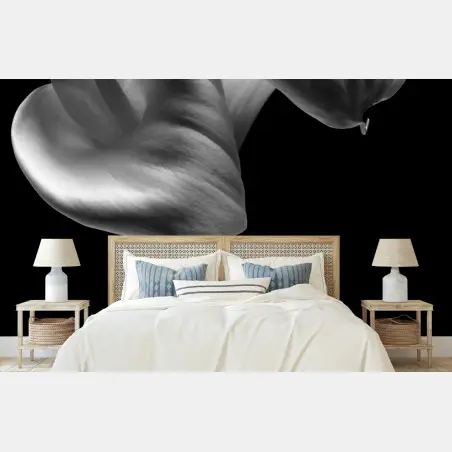 Fototapete elegante calla-blüten in monochrom – Wallnifity®