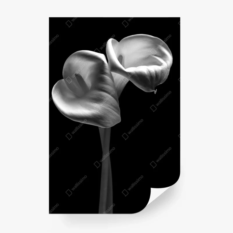 Blumen & Pflanzen – Wallnifity®