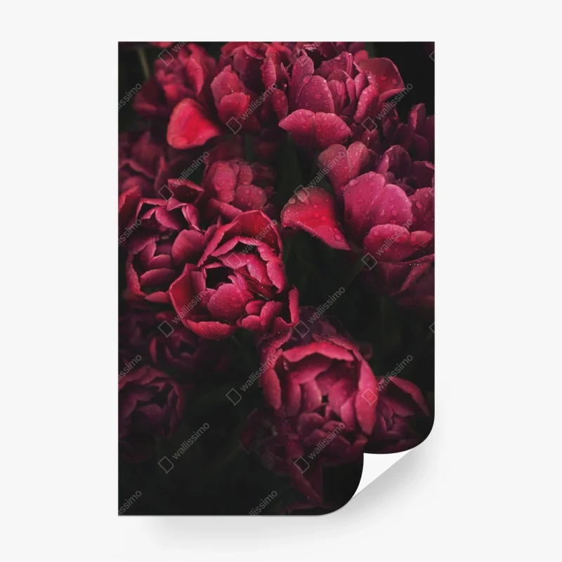 Fototapete pastellfarbenes botanisches abstraktes muster – Wallnifity®