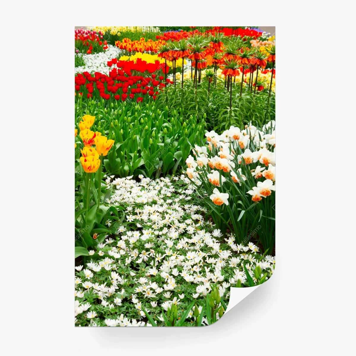 Fototapete lebendiger frühlingsblumengarten – Wallnifity® Fototapete lebendiger frühlingsblumengarten – Wallnifity®