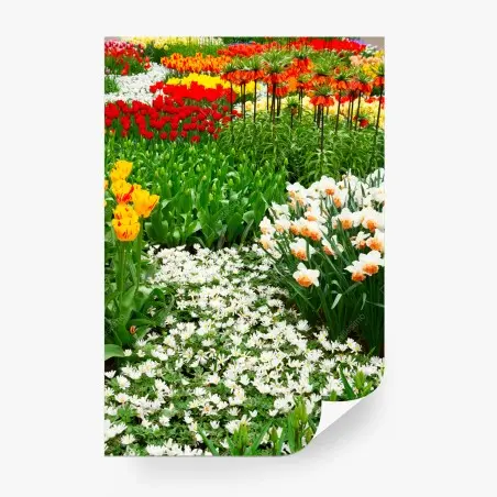 Fototapete lebendiger frühlingsblumengarten – Wallnifity®