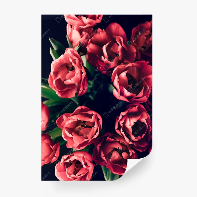 Vintage – Wallnifity®