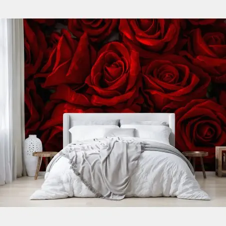 Fototapete intensive rote rosen nahaufnahme – Wallnifity®
