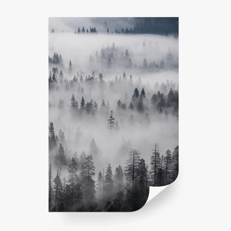 Natur – Wallnifity®