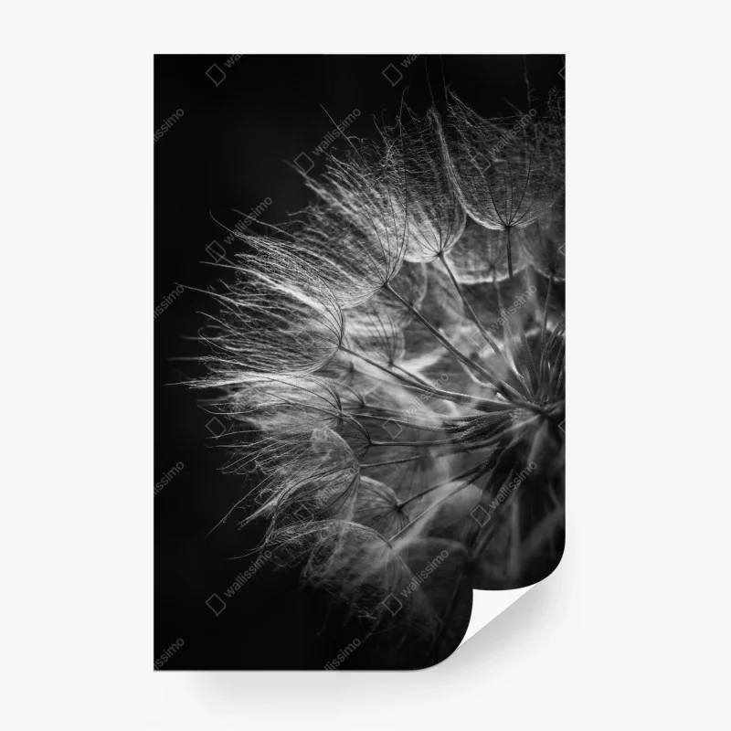 Blumen – Wallnifity®
