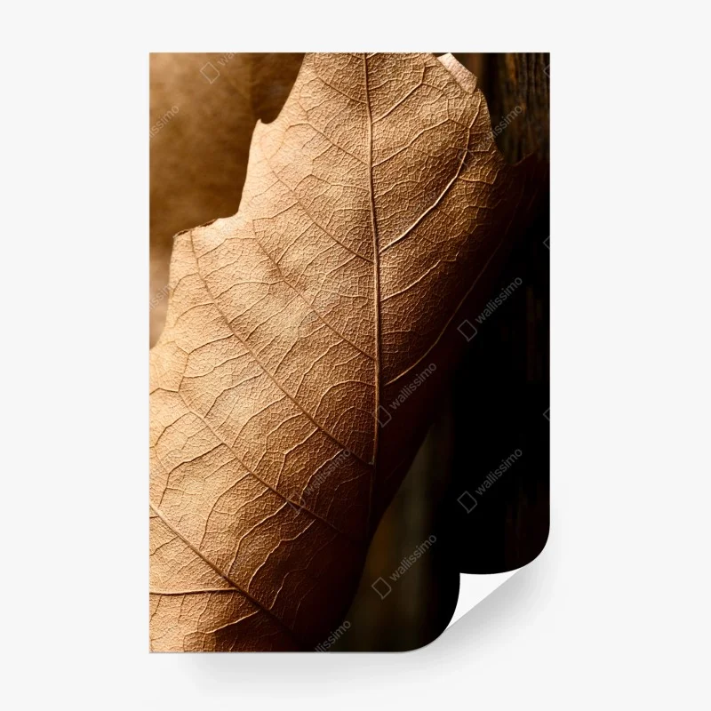 Blumen & Pflanzen – Wallnifity®